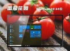 ѻ԰win10 64λǿ๦ܰv2024.05