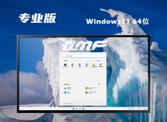 ľwin11 64λȥ澫İv2025.05