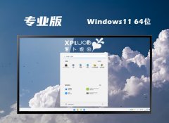 ܲ԰win11 64λװİv2025.03⼤