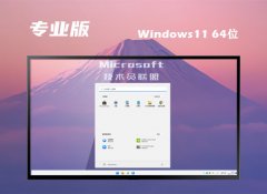 Ա⼤win11 64λͨv2025.03