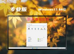 ѻ԰win11⼤64λǿǿv2025.05