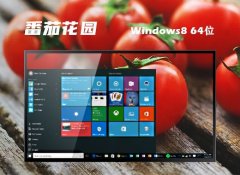 ѻ԰⼤win8.1 64λðv2023.12